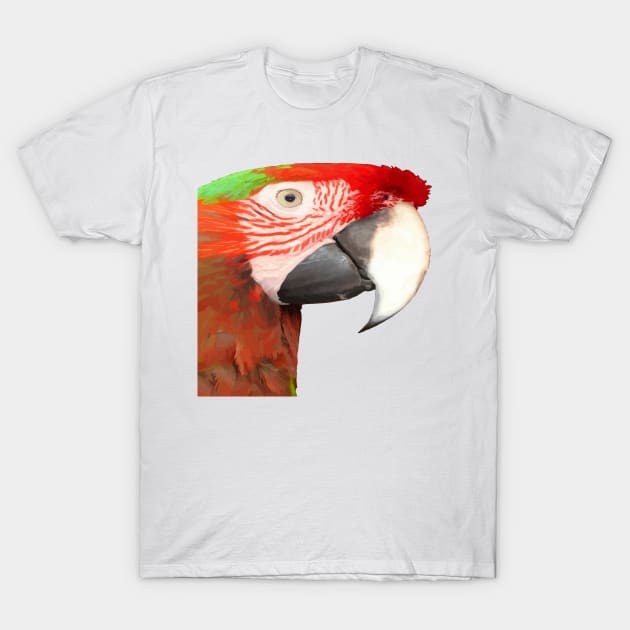 A Beautiful Bird Harlequin Macaw Portrait Vector T-Shirt by taiche